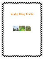 Vẻ đẹp Rừng Trà Sư docx
