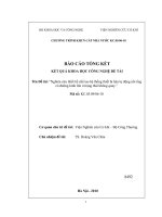 Nghiên cứu thiết kế chế tạo hệ thống thiết bị hàn tự động nối ống có đường kính lớn ở trạng thái không quay