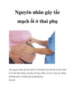 Nguyên nhân gây tắc mạch ối ở thai phụ docx