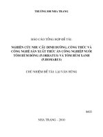 Nghiên cứu nhu cầu dinh dưỡng, công thức và công nghệ sản xuất thức ăn công nghiệp nuôi tôm hùm bông (p orratus) và tôm hùm xanh (p homarus)