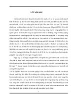 kế toán công cụ dụng cụ tại công ty TNHH công nghiệp chính xác Việt Nam 