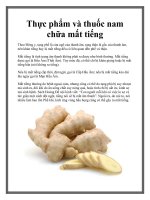 Thực phẩm và thuốc nam chữa mất tiếng doc