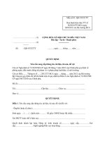MẪU QUYẾT ĐỊNH Yêu cầu cung cấp thông tin, tài liệu, tài sản, đồ vật docx