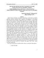 Một số đặc điểm hình thái, sinh vật học và sinh thái học của mọt đậu (Acanthoscelides obtectus Say) (Bruchidae, Coleoptera) potx