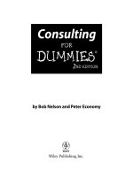 consulting for dummies (isbn - 0470178094)