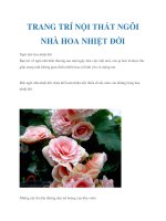 TRANG TRÍ NỘI THẤT NGÔI NHÀ HOA NHIỆT ĐỚI pdf