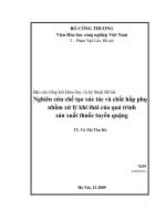 Nghiên cứu chế tạo xúc tác và chất hấp phụ nhằm xử lý khí thải của quá trình sản xuất thuốc tuyển quặng