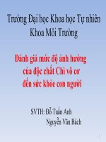đánh giá mức độ ảnh hưởng của độc chất chì vô cơ đến sức khỏe con người