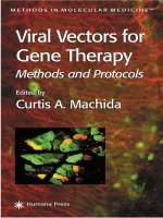 viral vectors for gene therapy