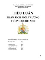 TIỂU LUẬN: PHÂN TÍCH MÔI TRƯỜNG VƯƠNG QUỐC ANH pot
