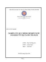 Nghiên cứu quy trình chế biến nước giải khát từ đậu xanh - nha đam