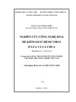 nghiên cứu công nghệ rnai để kiểm soát bệnh virus ở lúa và cà chua