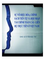 Sự vô hiệu hóa, chính sách tiền tệ và hội nhập tài chính toàn cầu- liên hệ thực tiễn ở Việt Nam