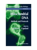 mitochondrial dna. methods and protocols
