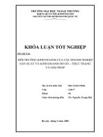 Môi trường kinh doanh của các doanh nghiệp sản xuất và kinh doanh đồ gỗ - thực trạng và giải pháp