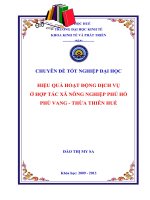 Hiệu quả hoạt động dịch vụ ở Hợp tác xã nông nghiệp Phú Hồ - Phú Vang - Thừa Thiên Huế