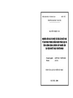 Nghiên cứu giá trị một số dấu ấn biệt hoá tế bào máu trong chẩn đoán phân loại và tiên lượng bệnh Lơxêmi cấp người lớn tại Viện Huyết học - Truyền máu