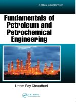 fundamentals of petroleum and petrochemical engineering