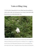 Vườn cò Bằng Lăng pot