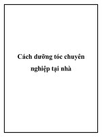 Cách dưỡng tóc chuyên nghiệp tại nhà pdf