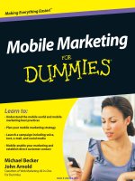 mobile marketing for dummies