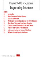 Chapter 9 - Object-Oriented Programming Inheritance docx