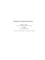Principles of Financial Economics (2001)
