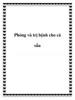 Phòng và trị bệnh cho cá sấu potx