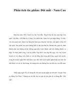 Phân tích tác phẩm: Đôi mắt - Nam Cao docx