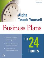 teach yourself business plans in 24 hours