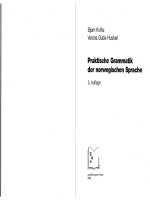 praktische grammatik der norwegischen sprache