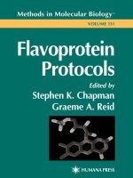 flavoprotein protocols