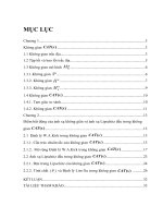 MỘT SỐ TÍNH CHẤT HÌNH HỌC CỦA KHÔNG GIAN CAT( )  VÀ ỨNG DỤNG      LUẬN VĂN THẠC SĨ  TOÁN HỌC