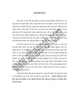 Hoàn thiện kế toán tiêu thụ sản phẩm và xác định kết quả tiêu thụ tại Công ty cổ phần Bao bì Việt Nam