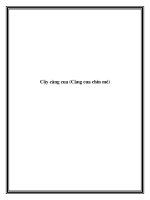 Cây càng cua (Càng cua chín mé) potx