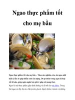 Ngao thực phẩm tốt cho mẹ bầu doc