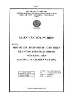 LUẬN VĂN KẾ TOÁN MỘT SỐ GIẢI PHÁP NHẰM HOÀN THIỆN HỆ THỐNG KIỂM SOÁT NỘI BỘ VỐN BẰNG TIỀN TẠI CÔNG TY VUA ONG