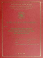 Vấn đề xây dựng kênh phân phối của doanh nghiệp bán lẻ Việt Nam - Thực trạng và giải pháp