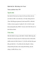 Bệnh đuôi đỏ - Hội chứng virus Taura Taura syndrom virus- TSV doc