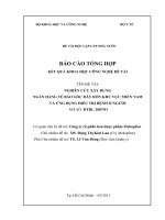 Nghiên cứu xây dựng ngân hàng tế bào gốc dây rốn khu vực miền nam và ứng dụng điều trị bệnh ở người