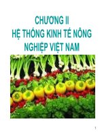 slide kinh tế nông nghiệp chương 2 Hệ thống kinh tế nông nghiệp Việt Nam