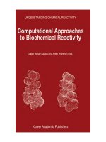 computational approaches to biochemical reactivity