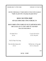 Hoàn thiện công nghệ sản xuất chế phẩm chứa beta glucan và axít amin từ nấm men