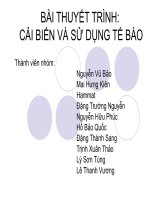 BÀI THUYẾT TRÌNH: CẢI BIẾN VÀ SỬ DỤNG TẾ BÀO docx