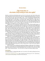 Tập trung hoá và nền kinh tế thị trường tư bản chủ nghĩa