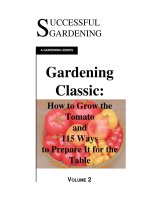 how to grow & prepare tomatoes