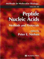 peptide nucleic acids