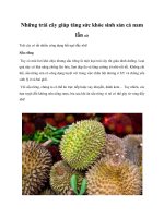 Những trái cây giúp tăng sức khỏe sinh sản cả nam lẫn nữ ppt