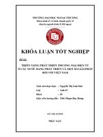 Triển vọng phát triển thương mại điện tử ở các nước đang phát triển và một số giải pháp đối với Việt Nam