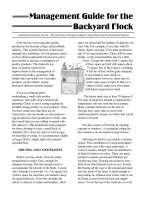 management guide for the backyard flock